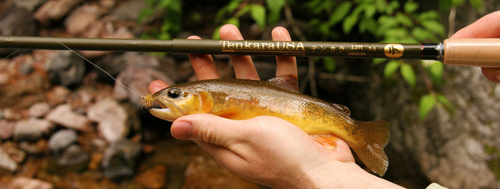 Tenkara Fishing Blog