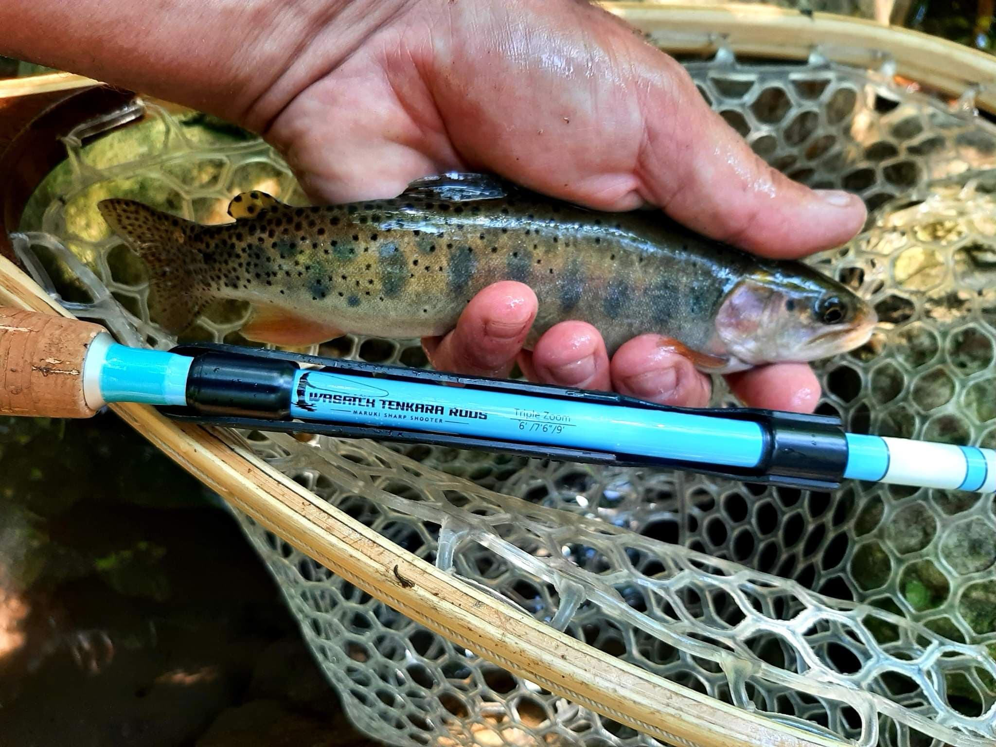 Taka ZoomTenkara - Salmon Fly Fishing Rods